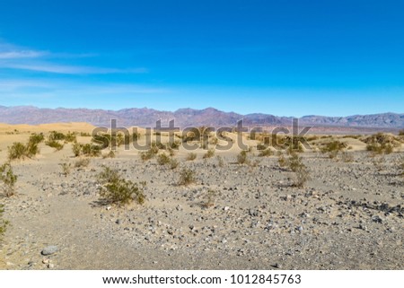 Amazing picture of the desert and blue sky in Arizona, US