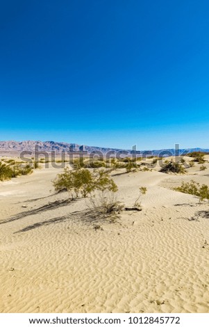 Amazing picture of the desert and blue sky in Arizona, US