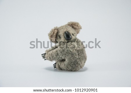 Animal pictures in the studio White background Royalty-Free Stock Photo #1012920901