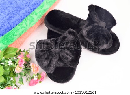 house Slippers on white background