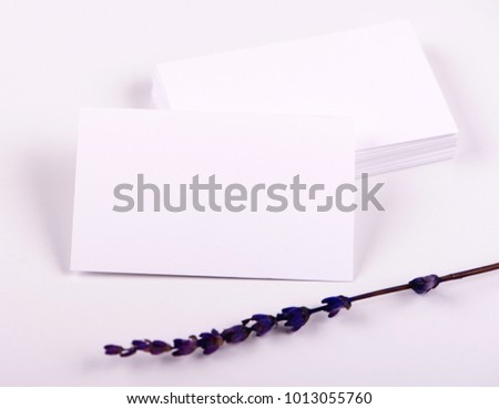 Business cards next to lavender flower on white background. Isolated. Mockup.