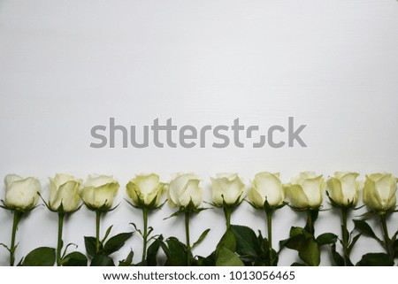 White roses on white background