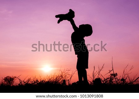 Silhouette a boy with cat at sky sunset