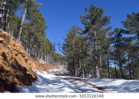 Snowy winter road. Beautiful winter landscape in the mountain forest Agla. Marmaris. Turkey