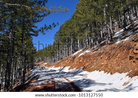 Snowy winter road. Beautiful winter landscape in the mountain forest Agla. Marmaris. Turkey