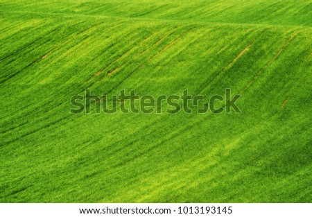 spring field. picturesque hilly field. agricultural field in spring