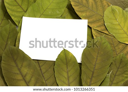 White paper cut into rectangles, placed on dry leaves. For text or image