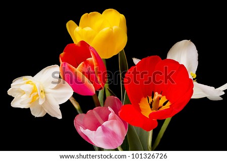 Bouquet of spring flowers isolated on black background