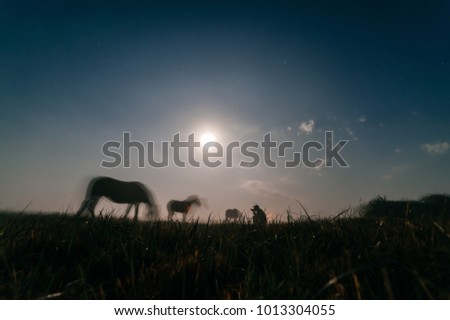 Countryside night landscape of pasture with silhouettes of moving horses and full moon. Mystic and beautiful moonlight on field with animals in dark. Traveler taking photo. Motion blur in wildlife