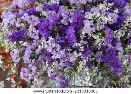 many beautiful violet and white flower bouquet. lovely purple floral bunch, nice nature background
