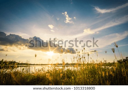 Silhouette grass flower at lake and colorful sky on sunset