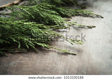 The branch of spruce on a wooden surface