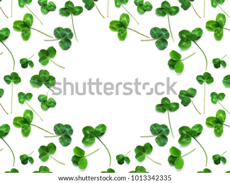 Green clover, the symbol of the holiday St. patrick's day. Frame of clover leaves isolated on white background, top view, flat lay.