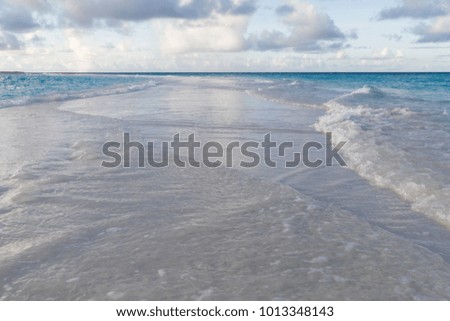 The beach on an island with waves