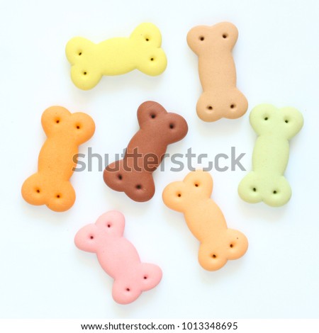 Delicious of dog biscuit , dog snack or dog  chew on the white background, Can use background , Advertising for pet food Royalty-Free Stock Photo #1013348695