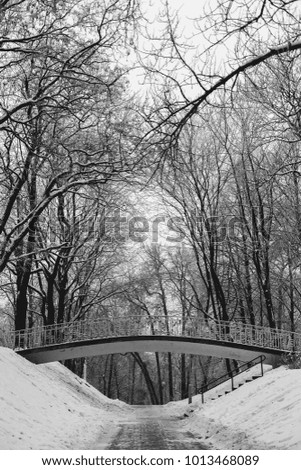 winter landscape with a bridge