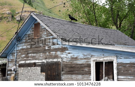 Abandonded house wtih a crow and hills in the background