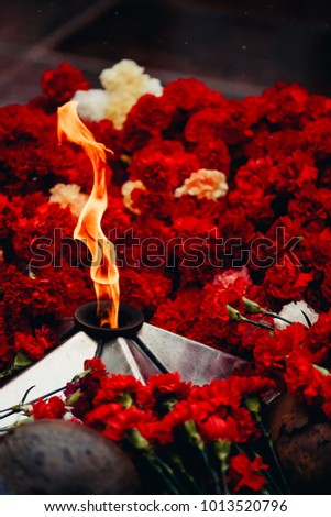 Background of red carnations, eternal fire, soldiers helmets. Concept is beginning and end of Second World War, memory of day of victory, bloody wars.