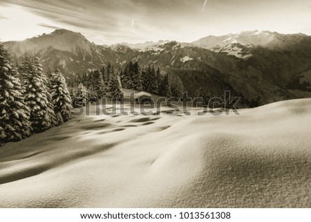 Winter landscape in the mountains in sepia