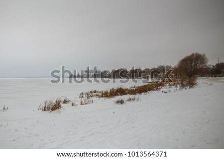 Photo of snowy field with shrubs and fir trees during day