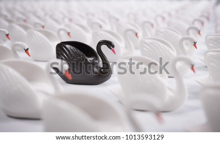 Black Swan Event. Concept.

This is a term used to describe a very rare or otherwise unexpected event that has a major effect. It is a metaphor often used in science or economics. Royalty-Free Stock Photo #1013593129