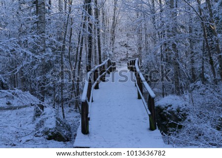 Beautiful nature and landscape photo of Swedish winter forest and trees. Nice cold day in the wood. Lovely details of branches with snow,frost and wooden bridge. Calm, peaceful outdoors image.