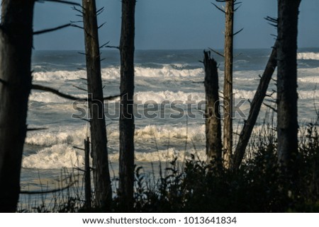 View of the coastal landscape in Oregon: ocean, surrounded by forest