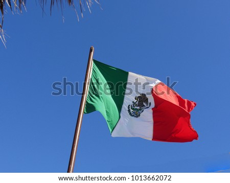 Wide lower shot of the flag of Mexico spread out waving in the wind against a backdrop of blue skies