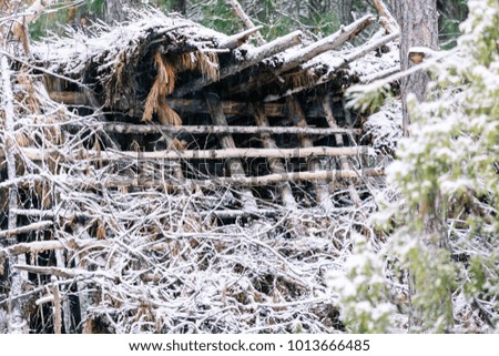 Taiga wooden hut in winter forest.