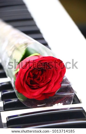 Roses, Valentine, Valentine's day, red rose, Rose, Valentine Gift