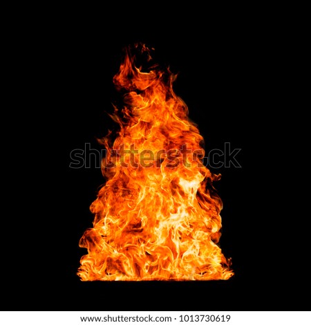 Hot Isolated Fire on Black Background for Retouch or Decorate Your Photo 