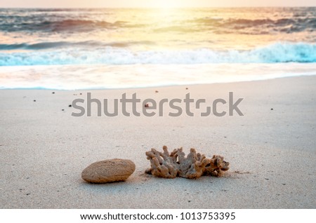Waves touching the shore in a very beautiful morning with a stone and coral in the foreground