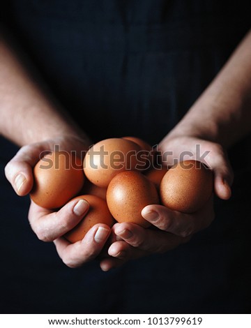 A man holds chicken fresh organic eggs. Close up. Toned picture