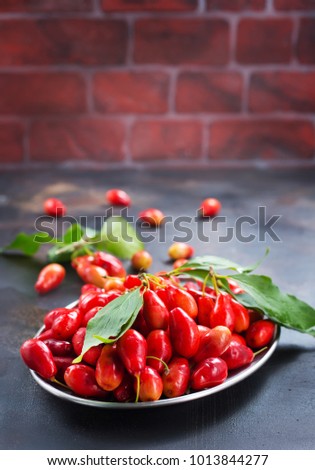Ripe juicy berries of dogwood. Cornel. Stock photo