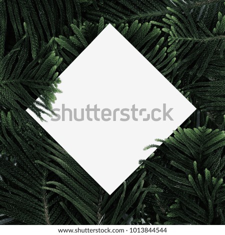Creative tropical green leaves layout with copy space. Nature spring concept. Flat lay.