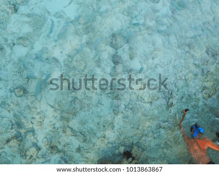 blur picture.Man in snorkeling mask with camera dive underwater with fishes in sea