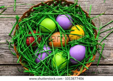 Happy easter eggs in nest with grass, eggs background