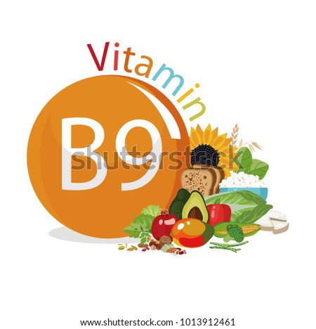 Vitamin B9 (folate). Food sources. Natural organic products with the maximum vitamin content. Royalty-Free Stock Photo #1013912461
