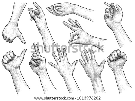 Hand gesture collection illustration, drawing, engraving, ink, line art, vector