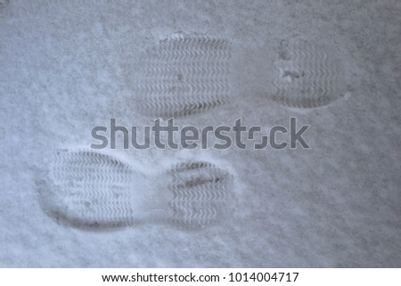 traces in the snow