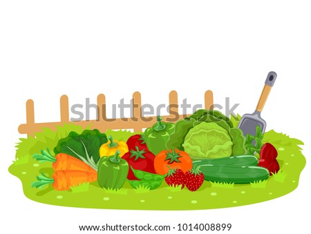 Illustration of Different Fruits and Vegetables in the Garden with Shovel and Fence