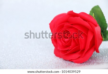 Red rose romantic Happy Valentine's day on white background Copy space