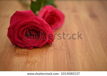 valentines day image of fresh real red roses flowers laid on a rustic natural wood background with focus on the petals and a blur background green stem and leaves