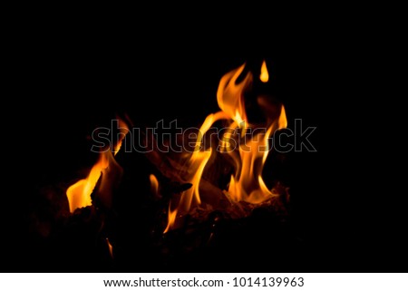 firewood burning on black background