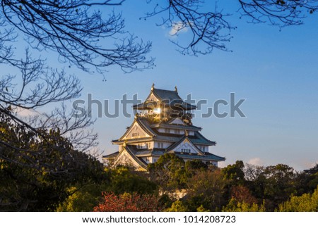 Osaka castle japan