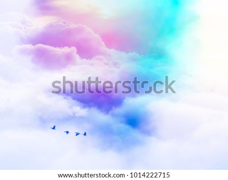 Free bird. Abstract colorful pastel paper background. A soft cloud and sky background with flying birds in pastel color. Business template website concept for text inscription,designer,illustrator.