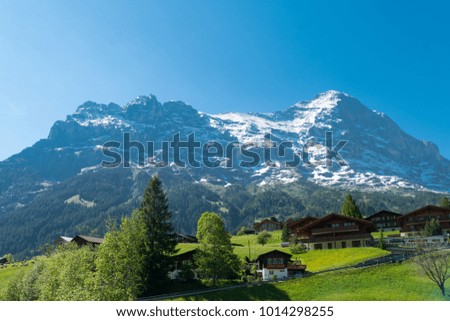 Spectacular view of the mountain Jungfrau and the four thousand meter peaks in the Bernese Alps from Greendeltwald valley, Switzerland Royalty-Free Stock Photo #1014298255