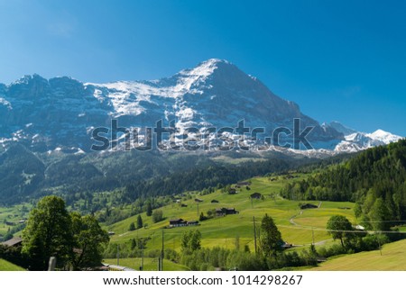 Spectacular view of the mountain Jungfrau and the four thousand meter peaks in the Bernese Alps from Greendeltwald valley, Switzerland Royalty-Free Stock Photo #1014298267