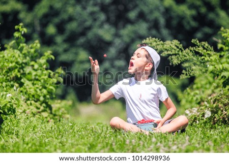 boy throws a raspberry into his mouth. Portrait of a  happy kid throwing berry in the air. Copy space for your text