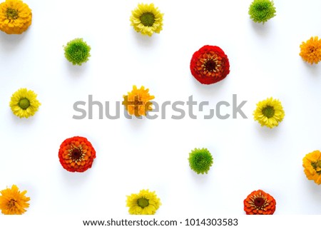 Spring arrangement with colorful flowers on white background. View from above.
